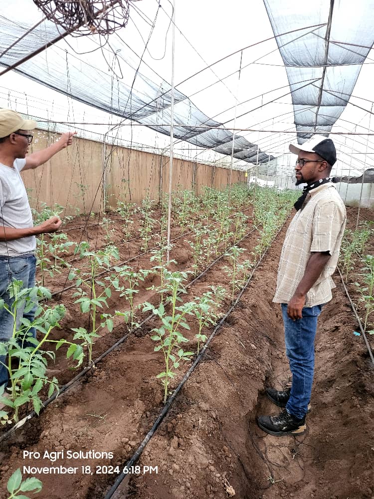 c889a6f3 035a 4a40 bd66 712fba1263d2