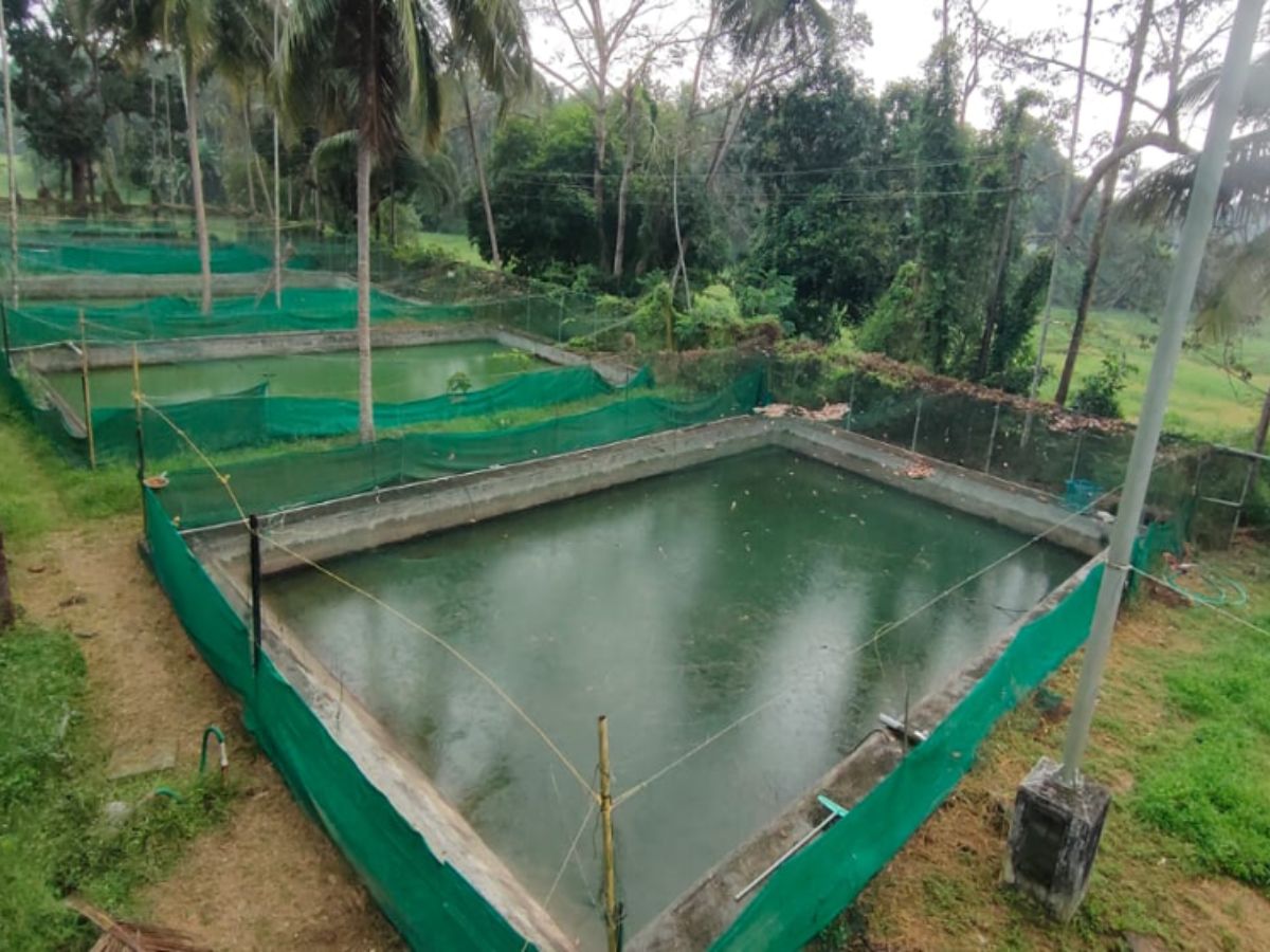 fish farming